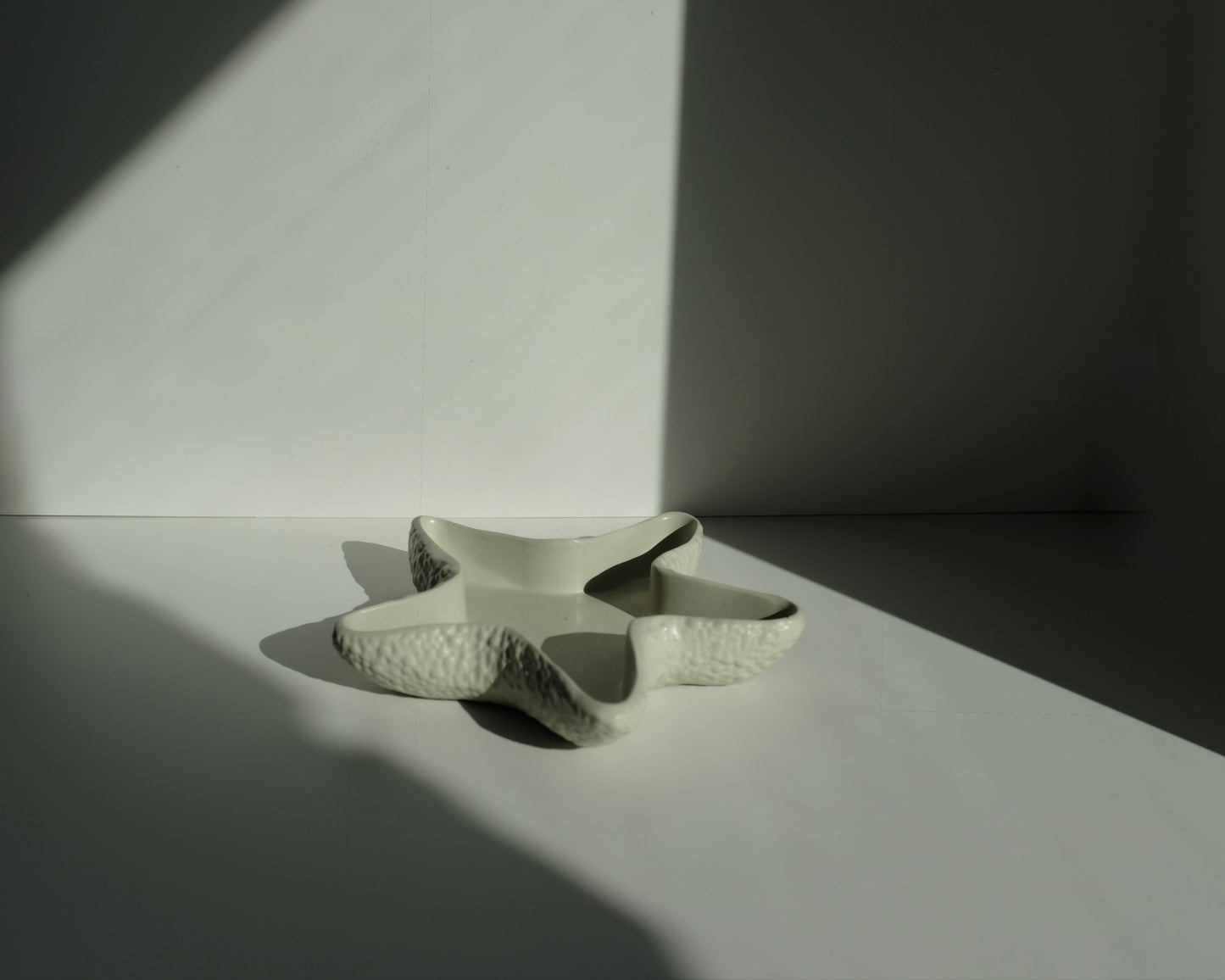 Starfish tray