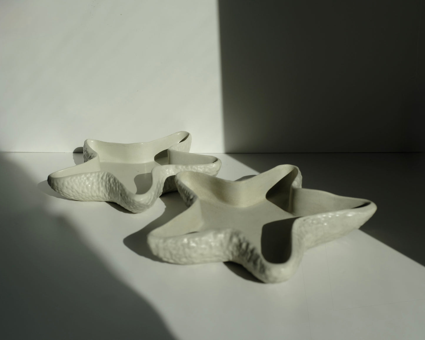 Starfish tray