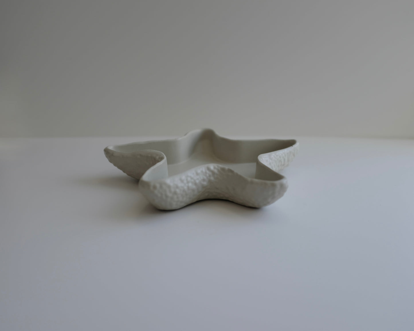 Starfish tray