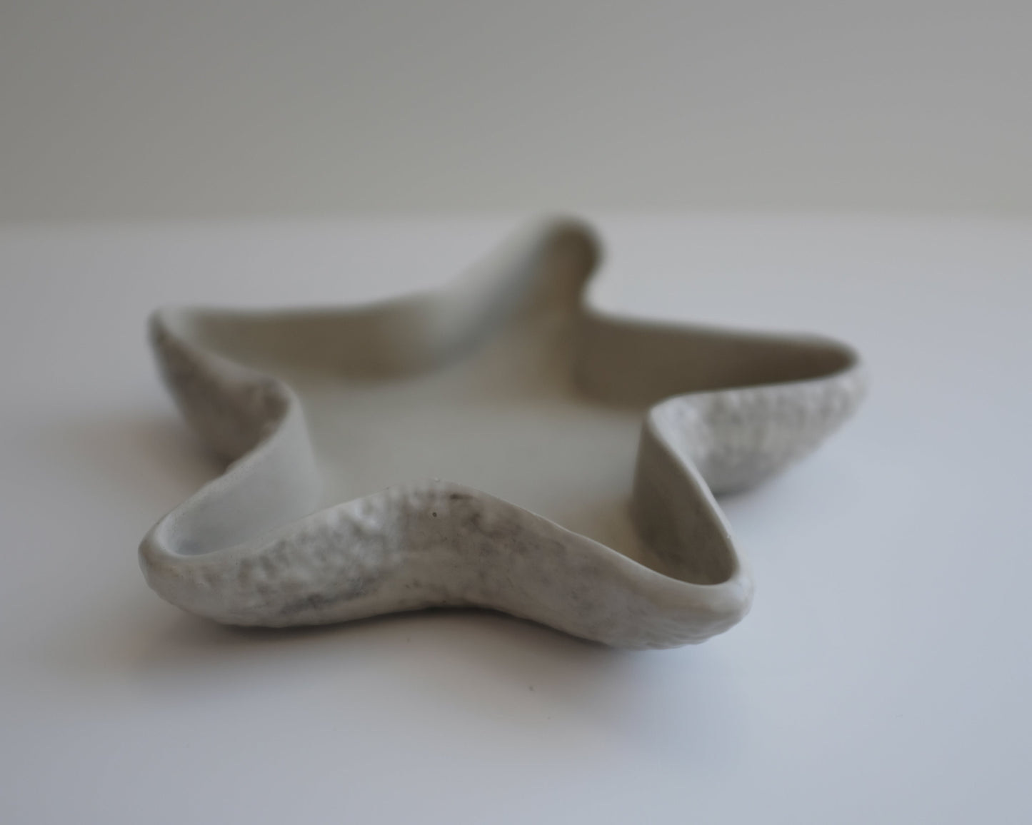 Starfish tray