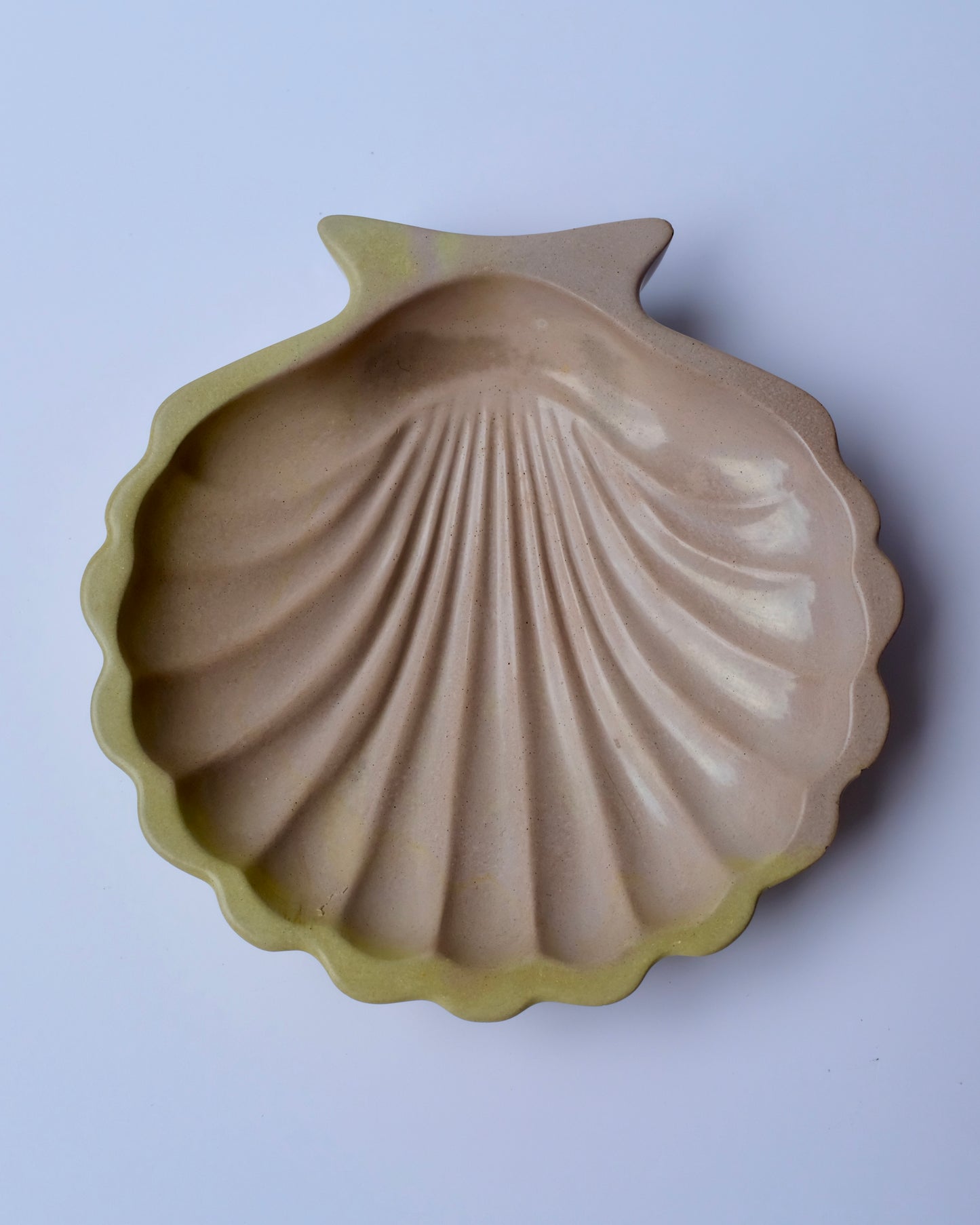 Shell single tray