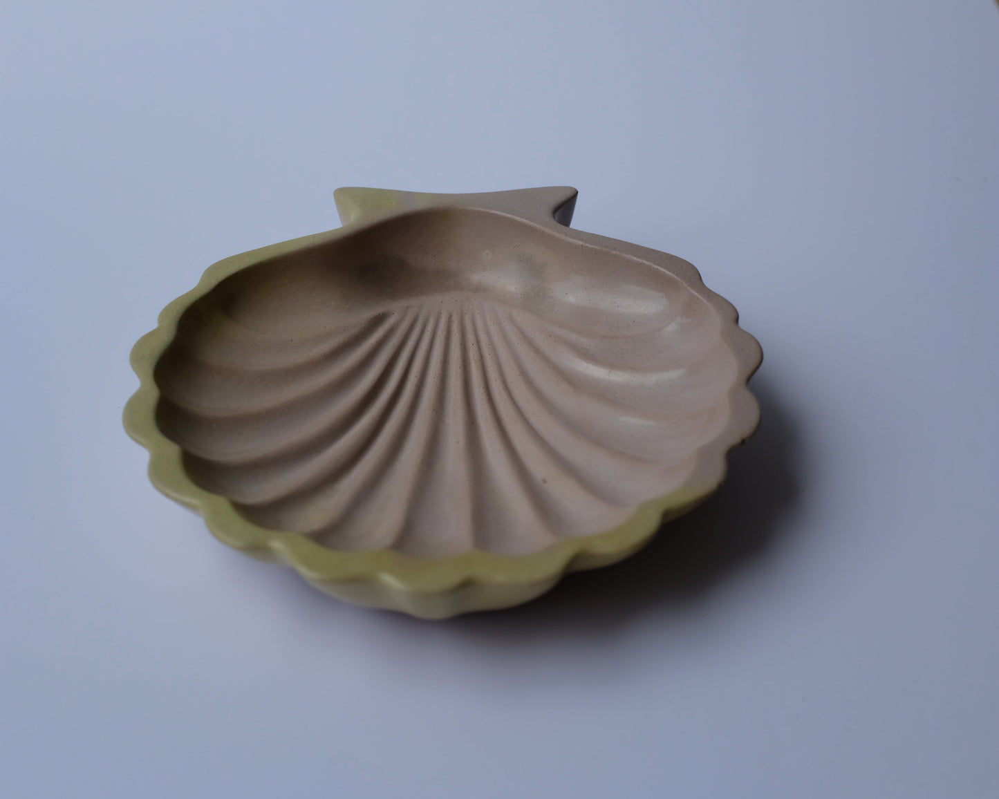Shell single tray