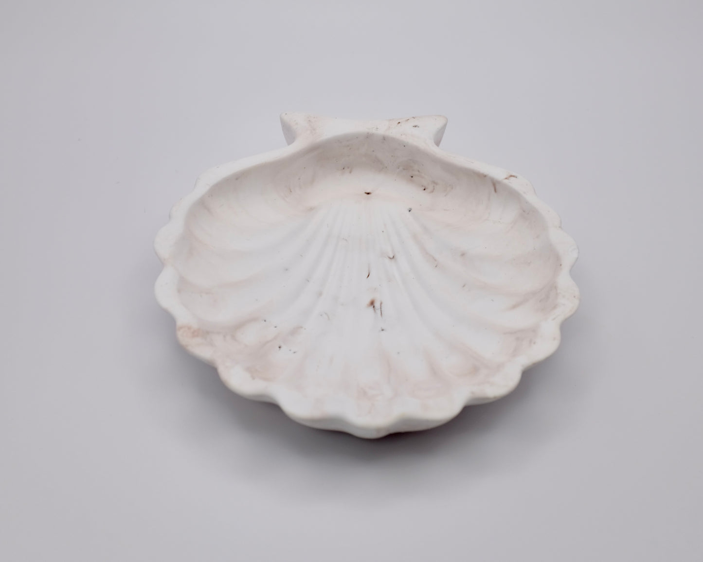Shell Single Tray Resin