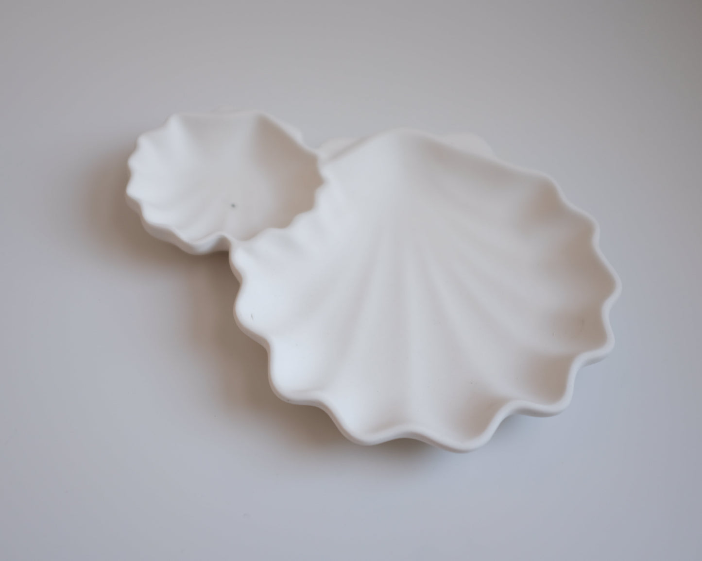 Double Shell tray Resin