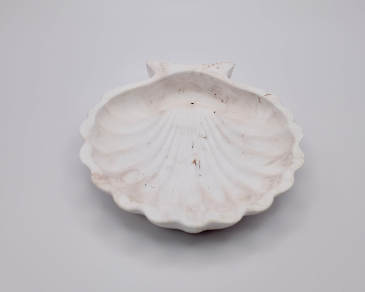 Shell Single Tray Resin