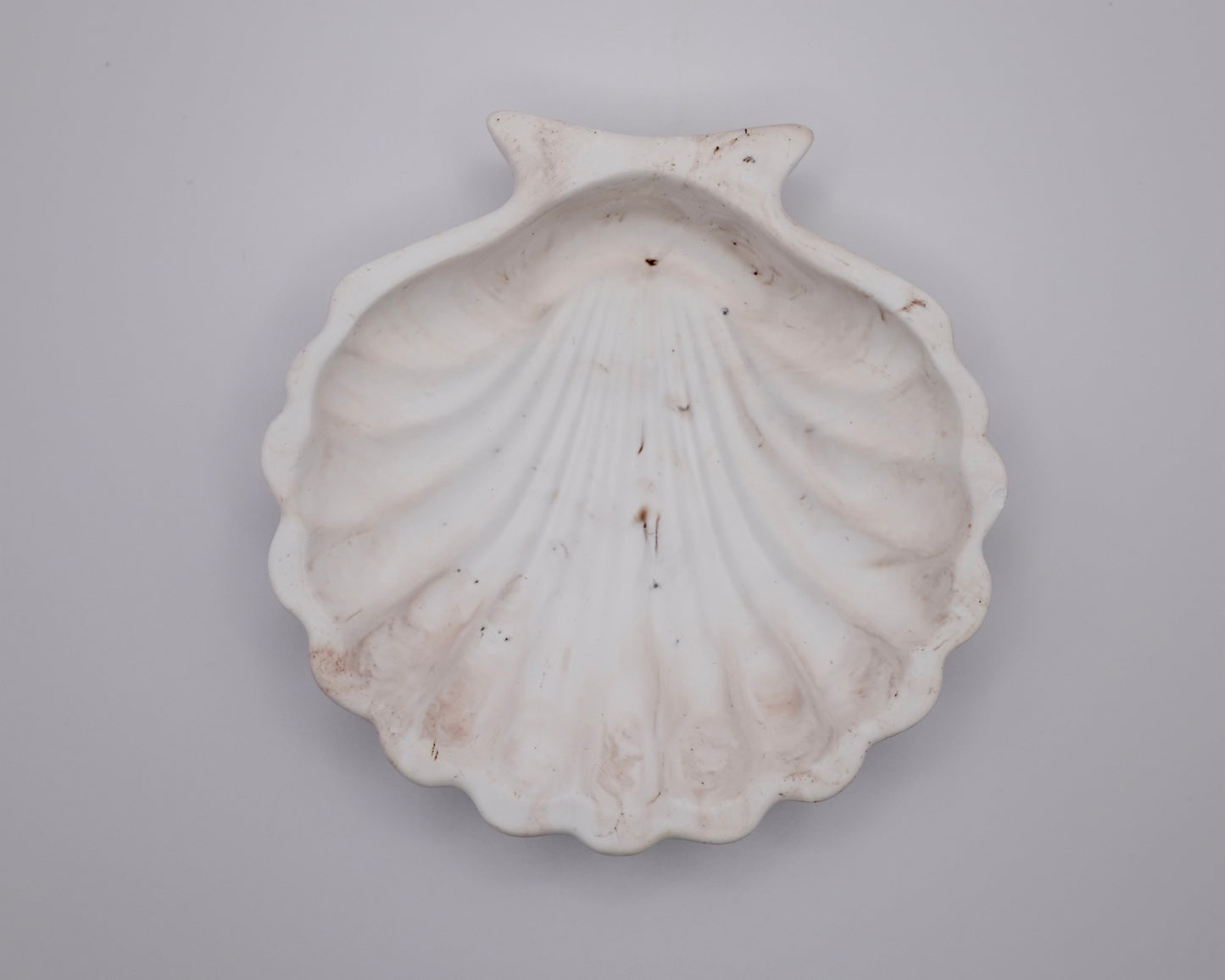 Shell Single Tray Resin