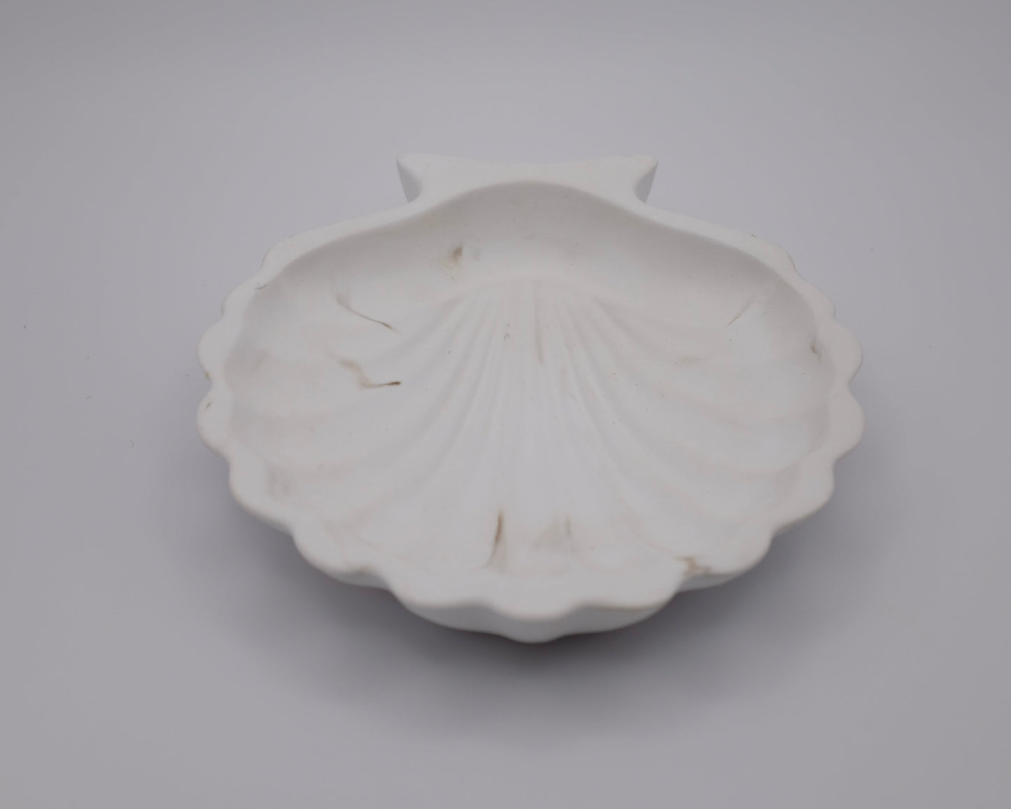 Shell Single Tray Resin