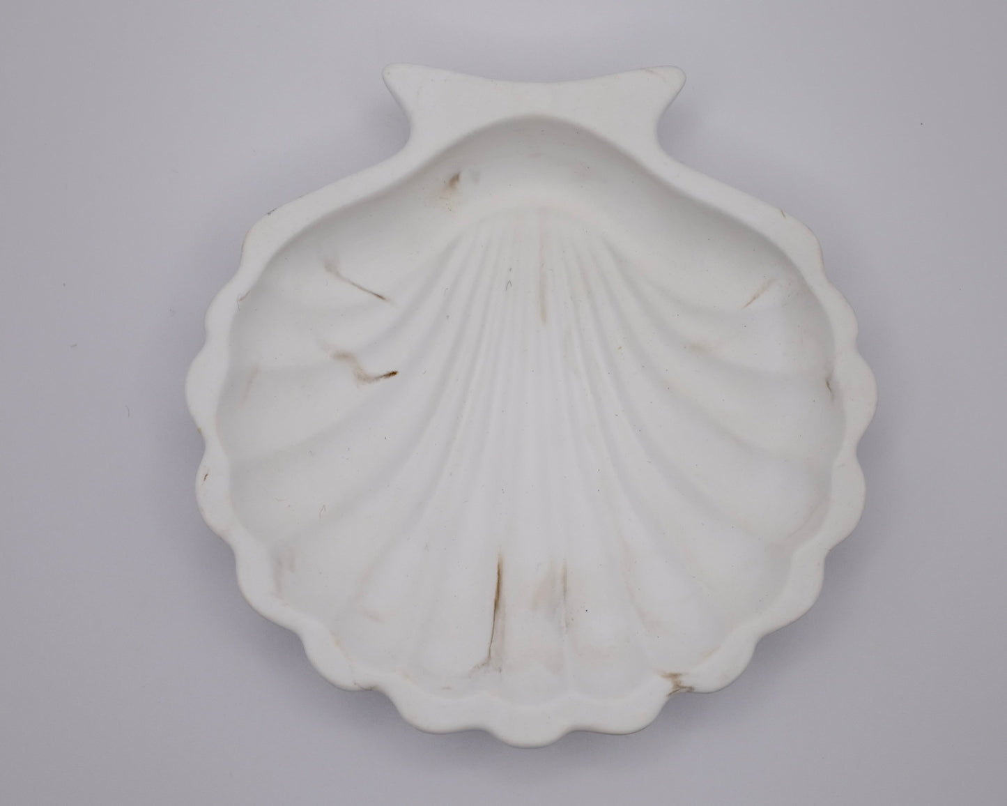 Shell Single Tray Resin
